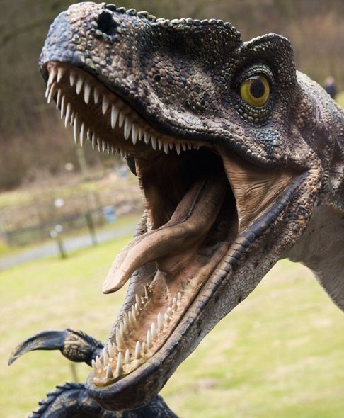 一位科学家指出，其他星球可能有聪明的恐龙。