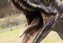 美化学家称外星或存超智能恐龙(图)