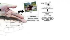 【吃货伤不起啊，啥都能吃】世界珍稀动物峨眉髭蟾蝌蚪 每斤168元卖食客