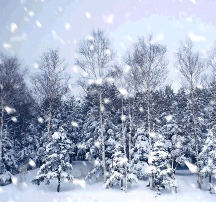 西安后天可能要下雪了,朋友们准备好啊!