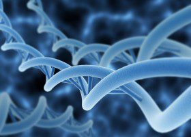 过去的蛋白质存储到现在的DNA存储，未来硬盘的出路